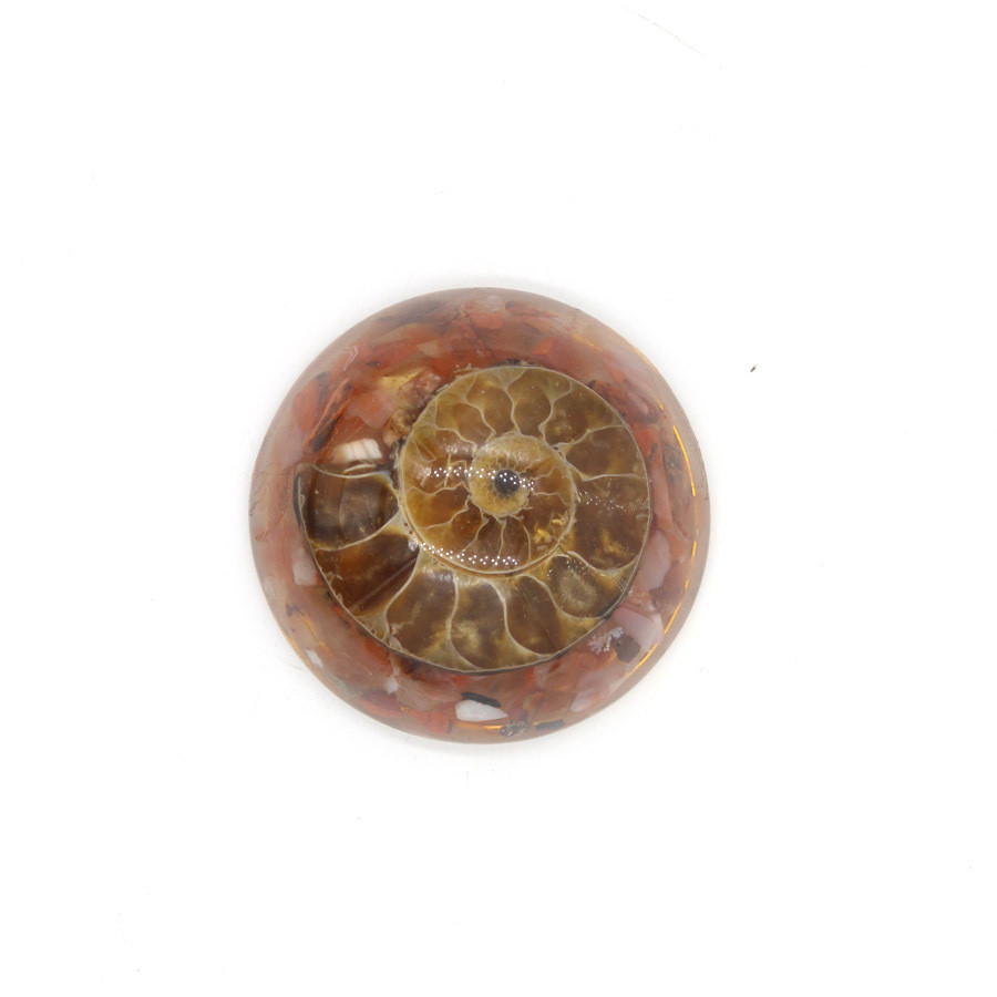 0129c91f fc1c 489a bc18 4af7afc65daf Resin And Crystal Fossil Snail Hemisphere Handicraft Pendant