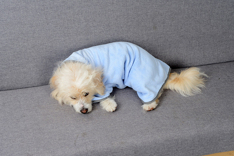 Dog laying on couch wearing a blue dog bathrobe.