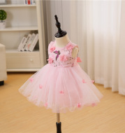 Maggie, new born baby, pink girl, baby, one year old, 100 days wedding dress, princess, fluffy dress