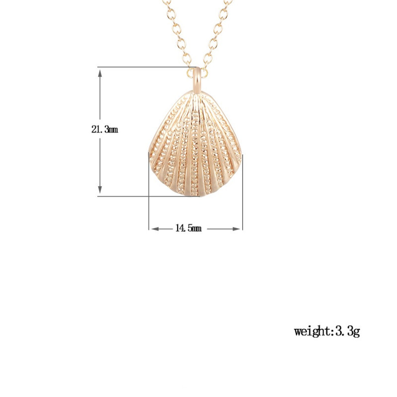 Scallop Conch Shell Pendant Necklace Gold and Silver Clavicle Chain 1 1130818603002 Scallop Conch Shell Pendant Necklace Gold and Silver Clavicle Chain