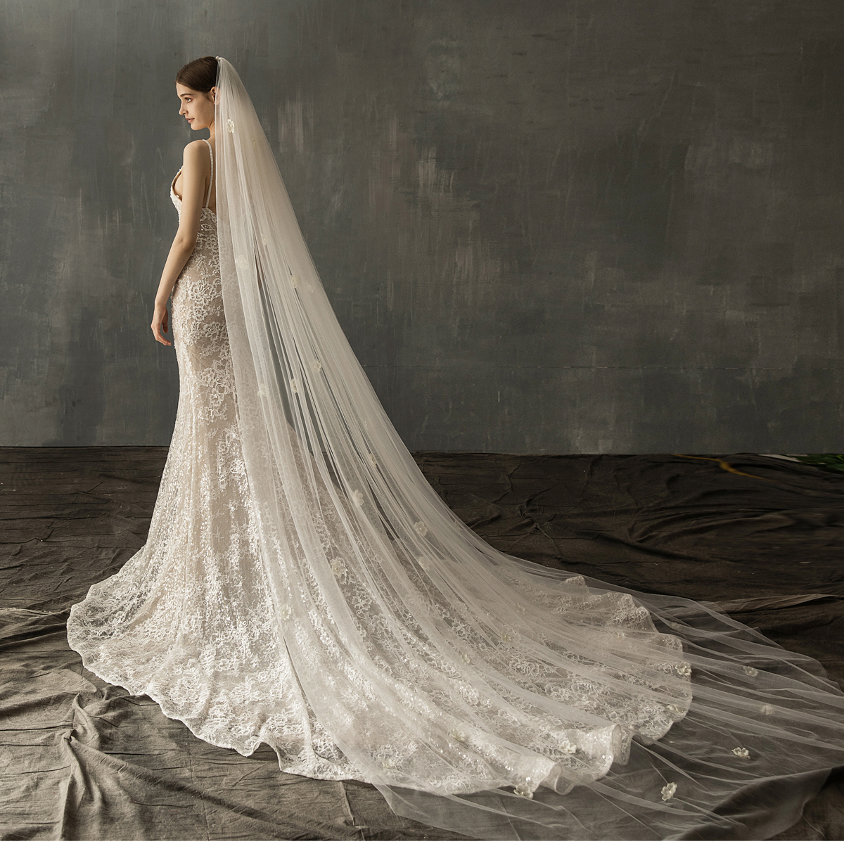 Bridal Long Tail Tulle Wedding Veil