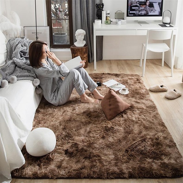 Soft and Fluffy Plush Carpets for Living Room - Cozy Rug to Enhance Home Decor