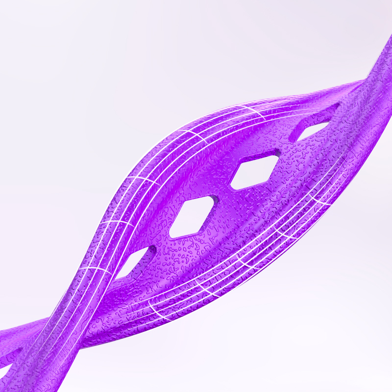 FITVITA Empowering Your Fitness Journey