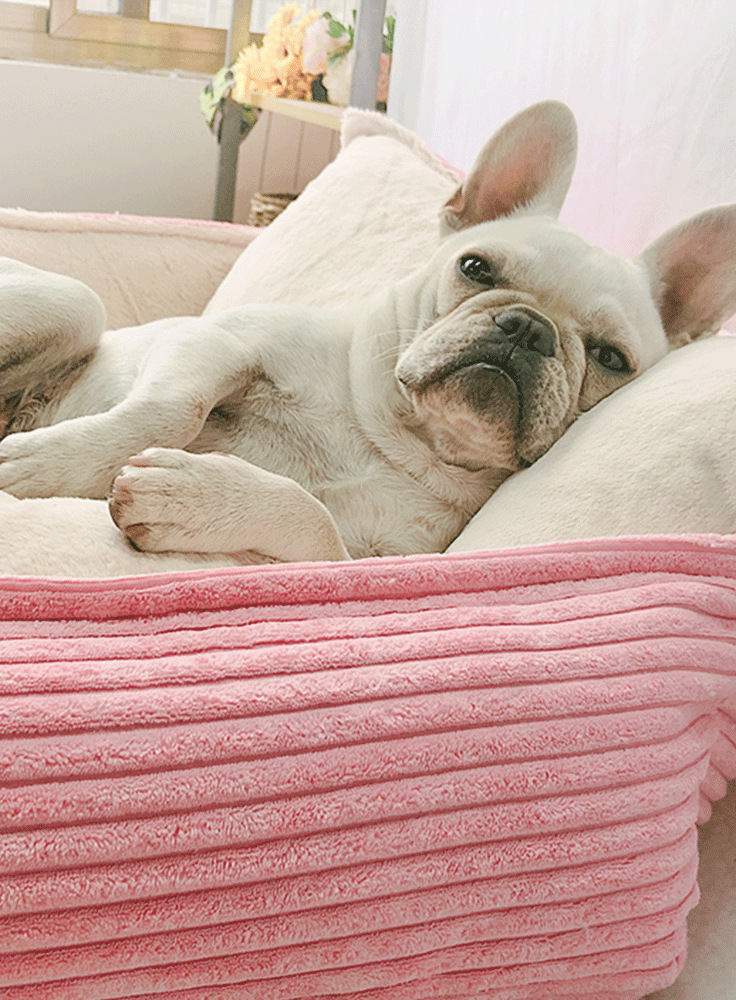 Harvey's-Choice Plush Pet Bed: Cozy and comfortable bed for pets, featuring soft plush materials. Removable and washable cover for easy cleaning. Available in pink, gray, and beige, and in medium and large sizes. Provide your pet with the ultimate comfort and warmth!