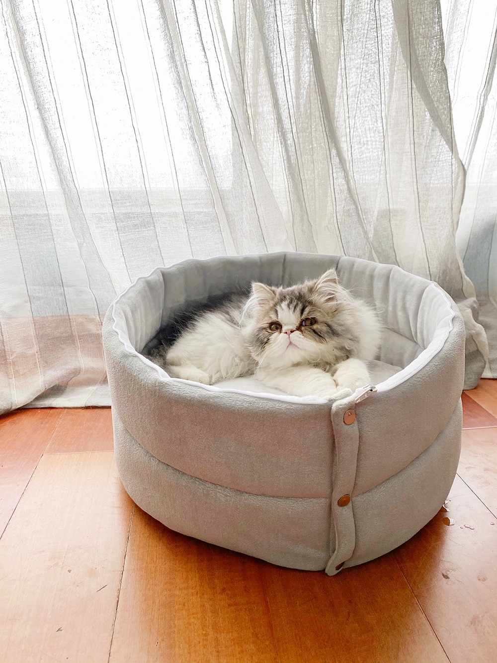 CAT BED PICTURE 34 2