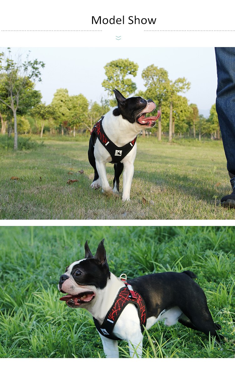 Reflective Dog Harness (25)