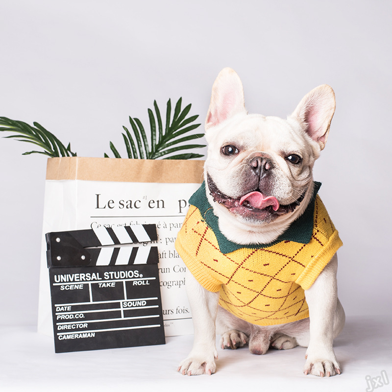 French Bulldog Yellow Sweater