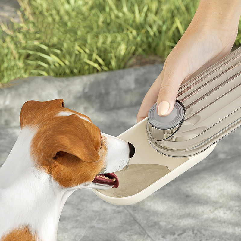 dog walking feeder and drinking cup