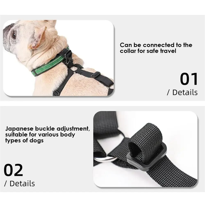 Waterproof Dog Shoes for Ultimate Comfort & Protection