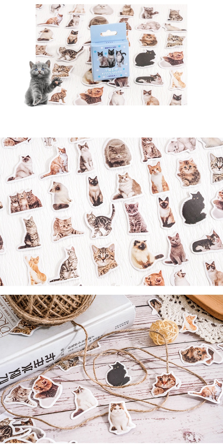 Cute Kitten Stickers pack cute Realistic kitten Stickers pack set 48Pcs