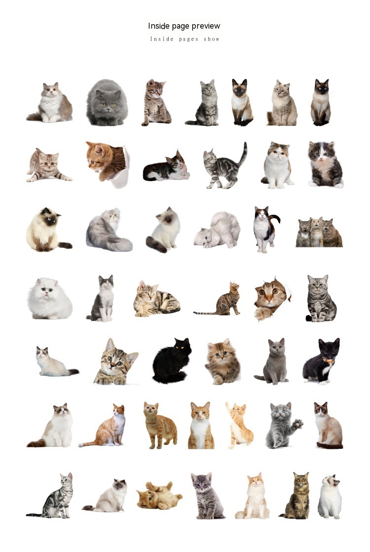 Cute Kitten Stickers pack cute Realistic kitten Stickers pack set 48Pcs