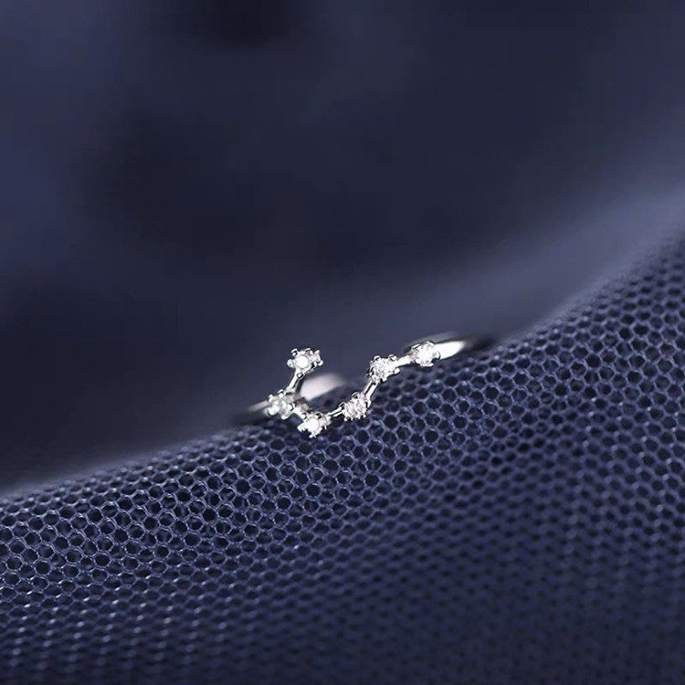 1ca8a164 8cfd 4b5b a318 50c1b58cec8e S925 Silver Twelve Constellation Ring Female