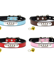 Anti-lost custom dog card cat collar lettering card