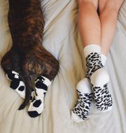 Leopard Dalmatian Black White Cotton Crew Socks
