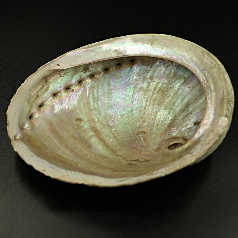 abalone shell burning tool