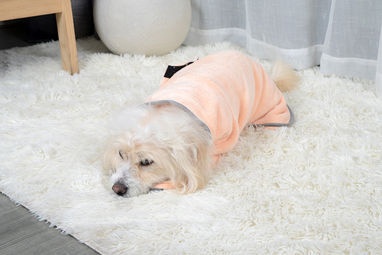 Sleeping puppy wearing warm peach color dog bathrobe.