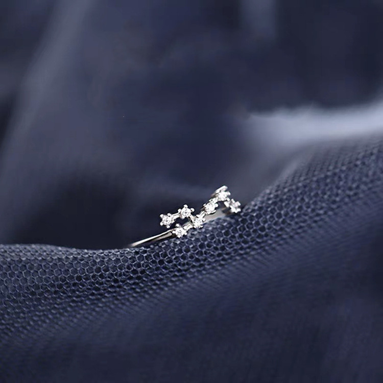 2c8835f8 4a11 42ac 81ad 51fe3d01acd7 S925 Silver Twelve Constellation Ring Female