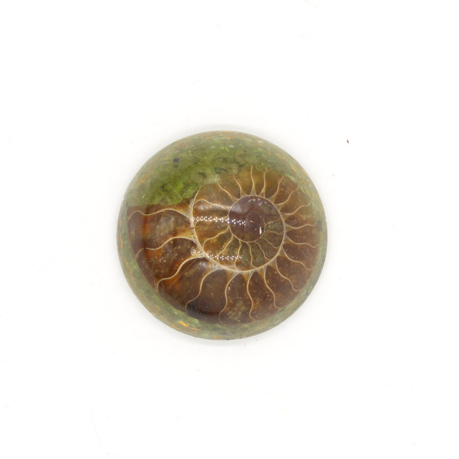 3c7db00c a38d 4cb5 936d 970edec5000e Resin And Crystal Fossil Snail Hemisphere Handicraft Pendant
