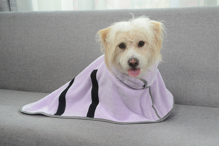 Fluufy pup relaxing in her bathrobe for dogs and cats.