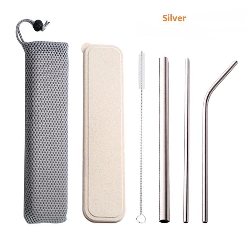 Stainless Steel Reusable Straw Set 3 PCS With Cleaning Brush & Pouch, Multi-Color Options