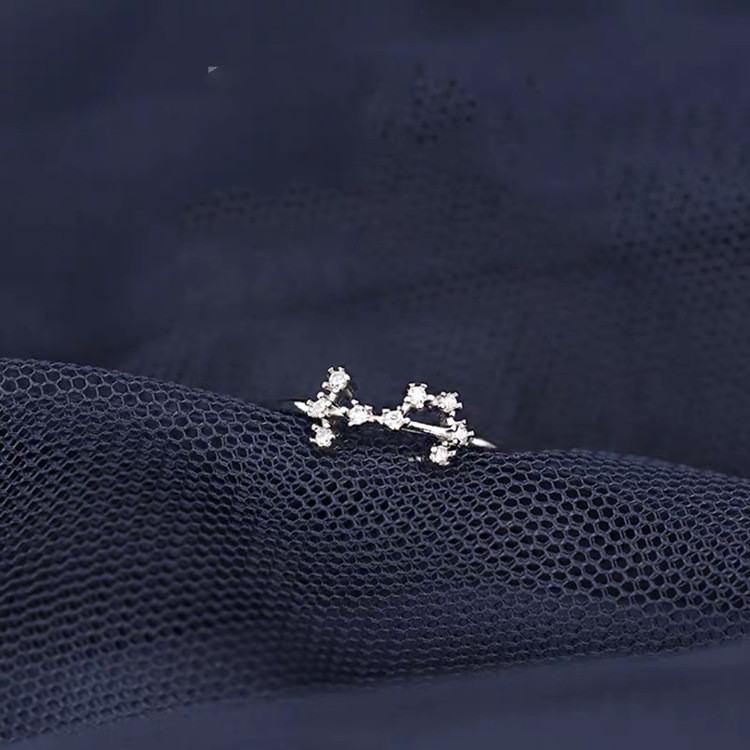 78c1b03c 4038 490e baa2 aa3c9f3cb263 S925 Silver Twelve Constellation Ring Female