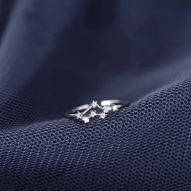 7aea83cc 62e5 4b34 ab78 d81195ef25a4 S925 Silver Twelve Constellation Ring Female