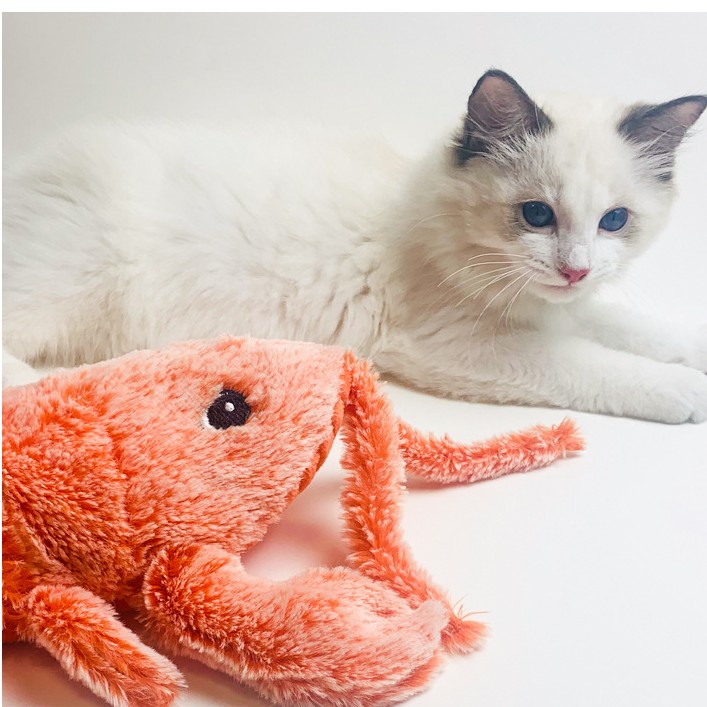 A white cat sitting next to a plush jumping shrimp toy.