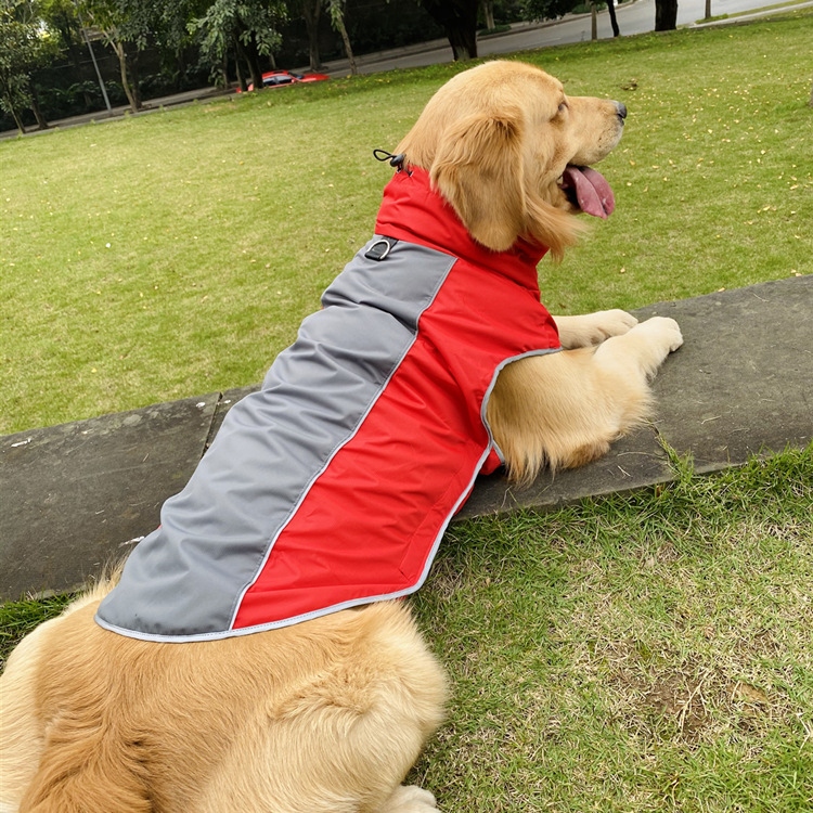 Fashion Sports Dog Jacket | Dog Training Jacket