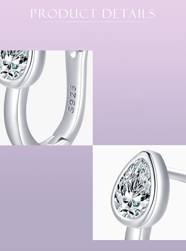 890fe676 cb57 44da 9ef0 822d4194e568 S925 Sterling Silver Temperament Micro Diamond Earrings