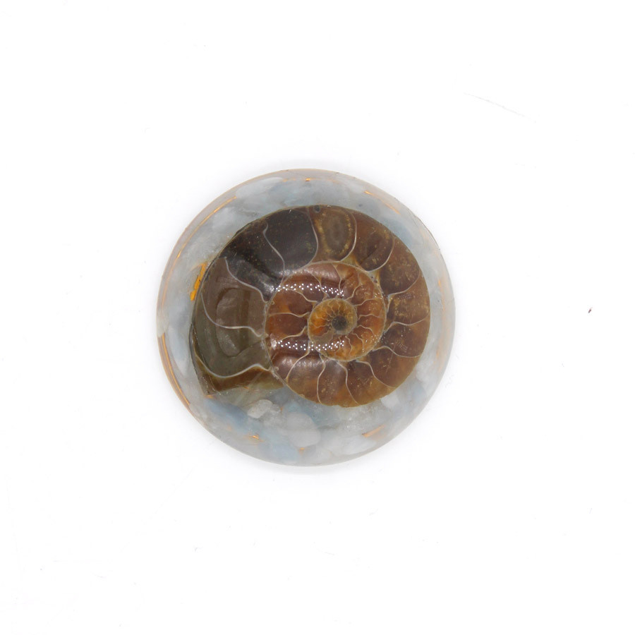 8a4e5688 7cfa 4e85 ba80 72af3d5cb610 Resin And Crystal Fossil Snail Hemisphere Handicraft Pendant