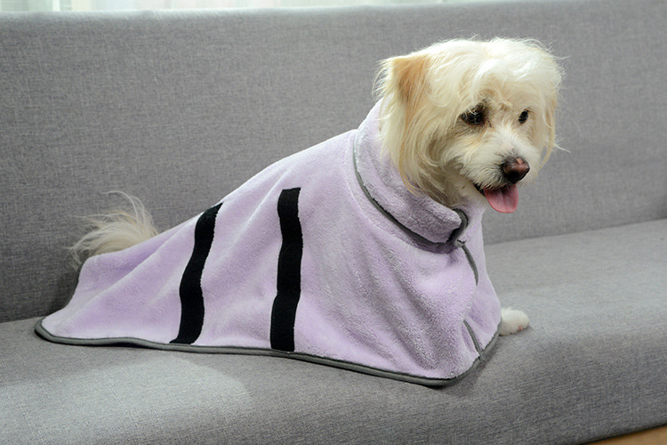 Small dog wearing a purple pet drying robe.