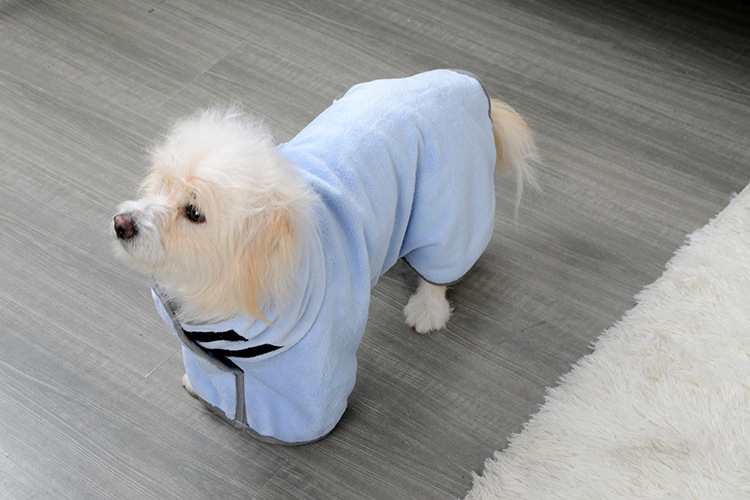 a dog sporting a light blue Pet Drying Robe.