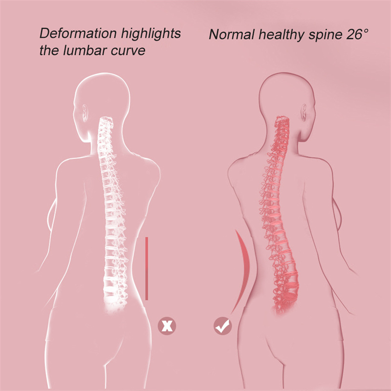 Lumbar Support Massager