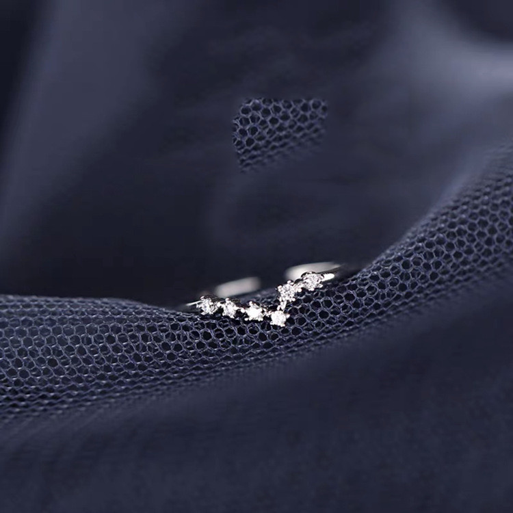 a1c10382 6a5d 473d b26f 267c38b114cd S925 Silver Twelve Constellation Ring Female