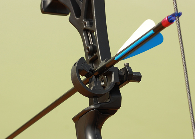 FITVITA Empowering Your Fitness Journey