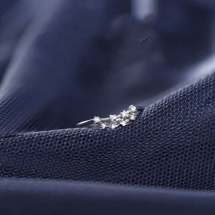 b17545a1 3057 4063 a4fc 29e6bf82bd9a S925 Silver Twelve Constellation Ring Female