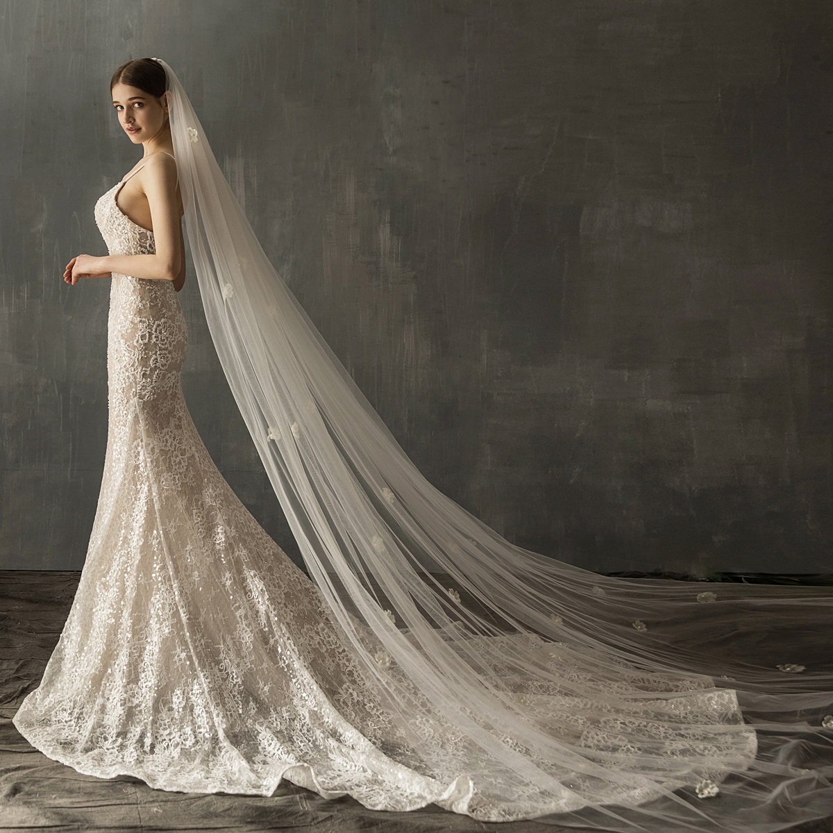 Bridal Long Tail Tulle Wedding Veil