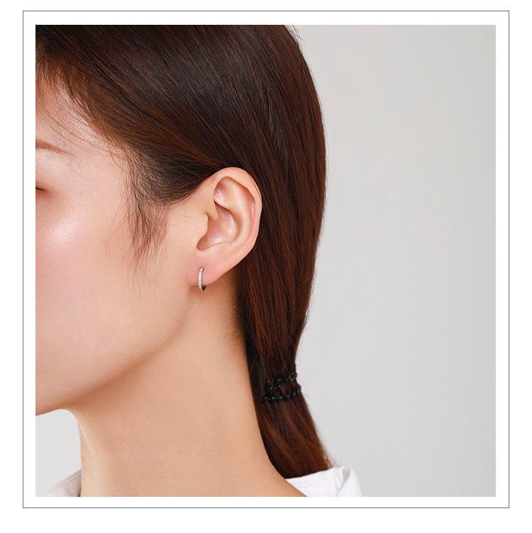 c33bcbfb 878c 4f9f b018 07517d32e0c8 S925 Sterling Silver Micro Diamond Earrings