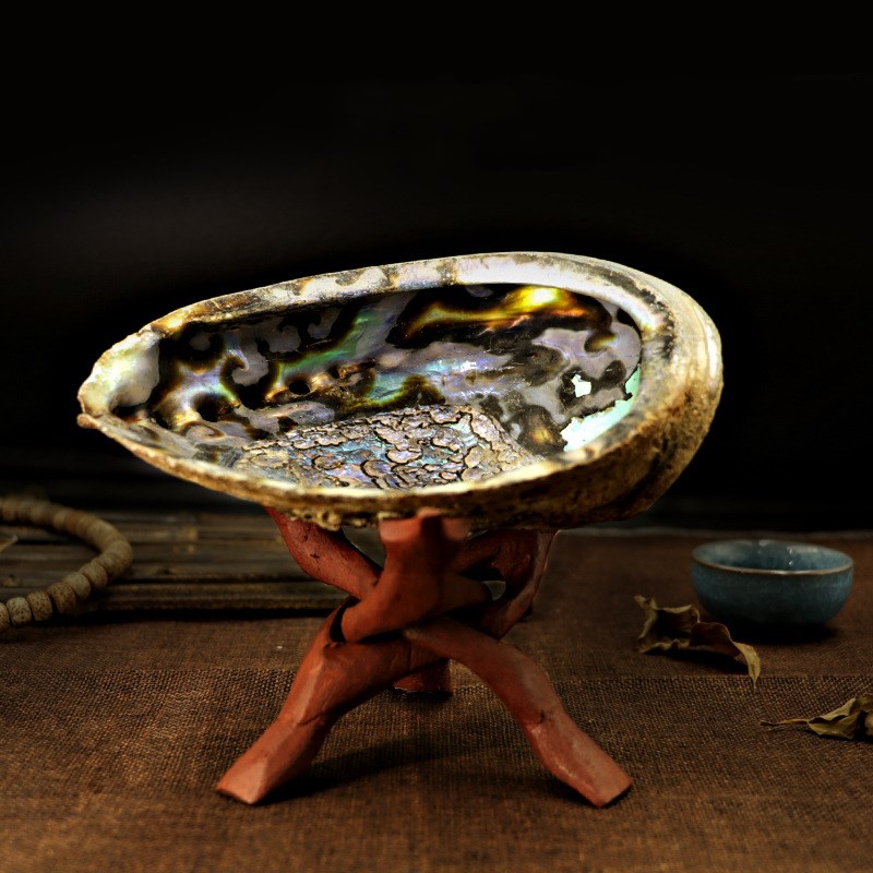 abalone shell for sage burning
