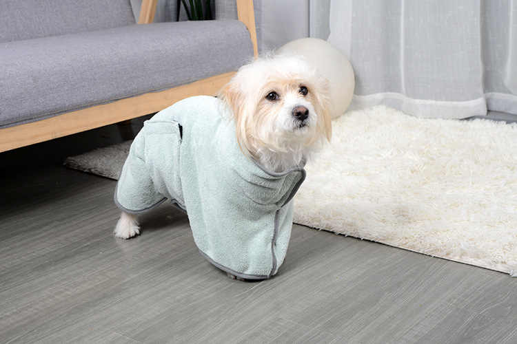 A small dog standing looking off, wearing pet bathrobe.