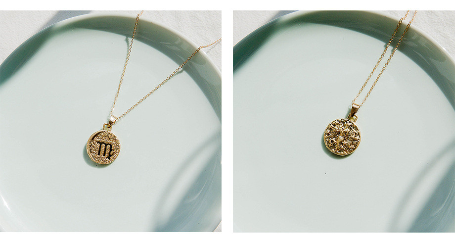 cf369323 0712 41cd b855 2072dcc5444f Personalized twelve constellation pendant clavicle chain