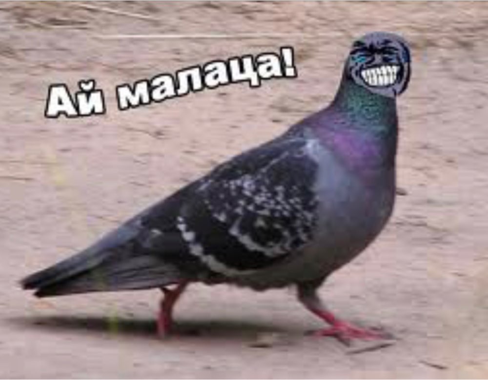 no remark