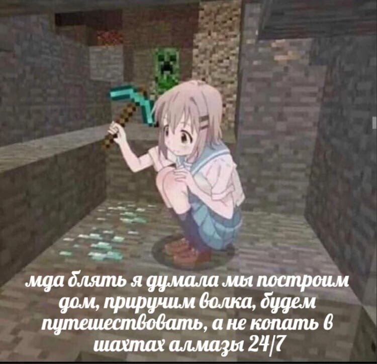 no remark