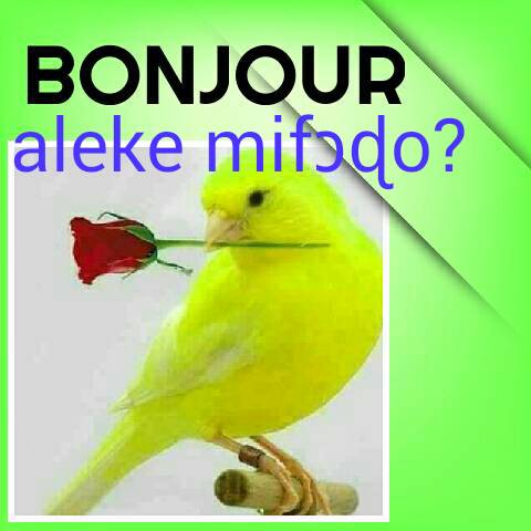 no remark