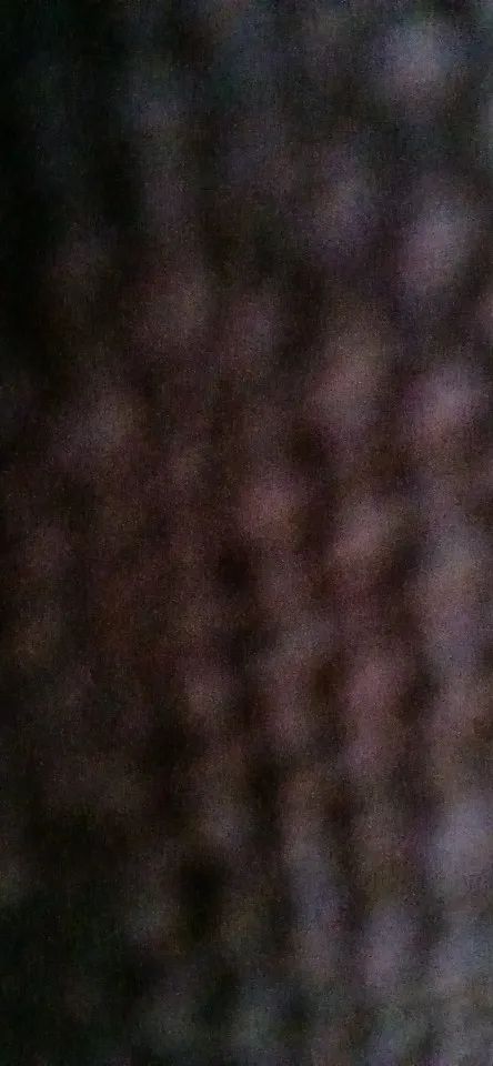 no remark