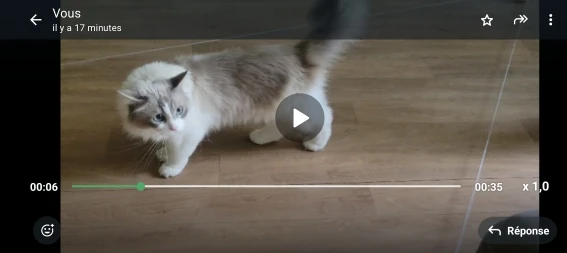 Cat Weight Loss Remote Control Sound Toy 24 no remark