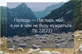 no remark