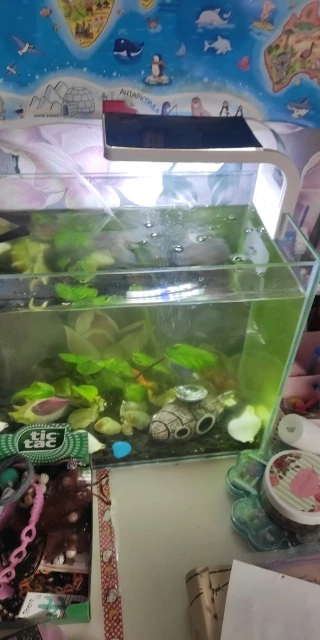no remark