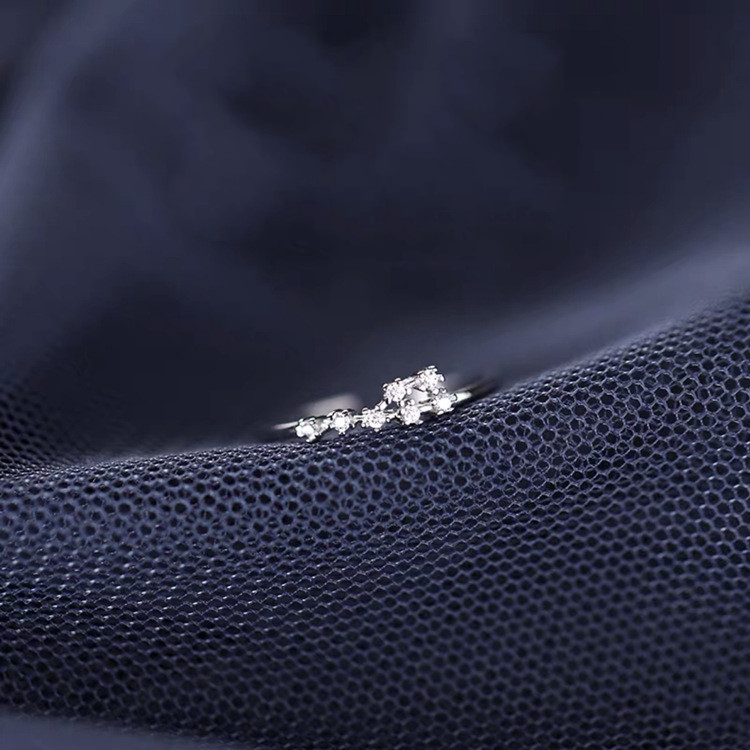 d0f12ea1 c97e 4ebd bad0 393893fb320a S925 Silver Twelve Constellation Ring Female