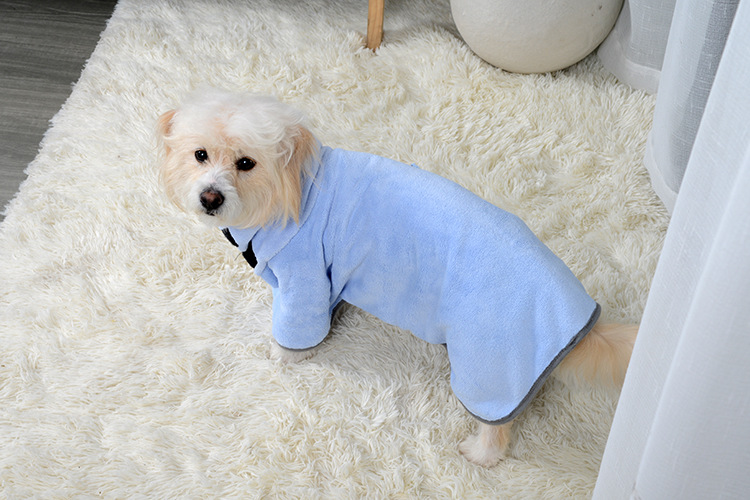 Pet Winter Wear: Dog wearing a pet bathrobe looking backwards at me while sitting on a sofa.